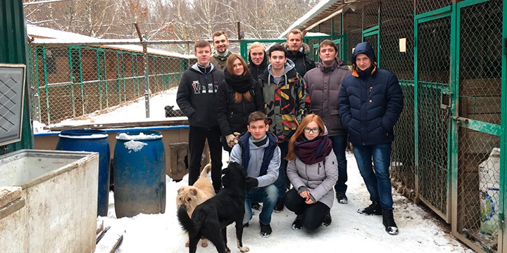 Поездка в приют для бездомных собак